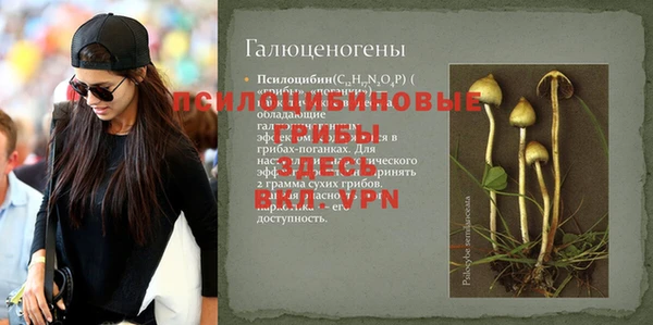 ALPHA-PVP Богданович