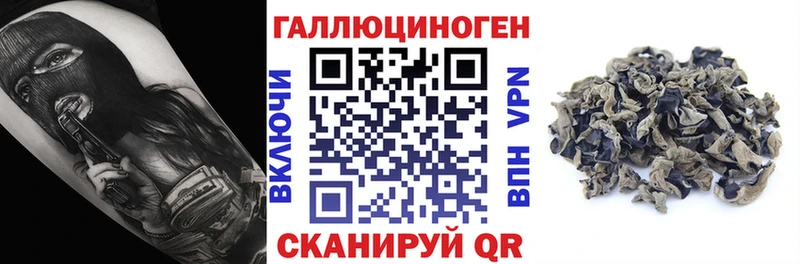 купить наркотик Черкесск MEGA как зайти Галлюциногенные грибы прущие грибы
